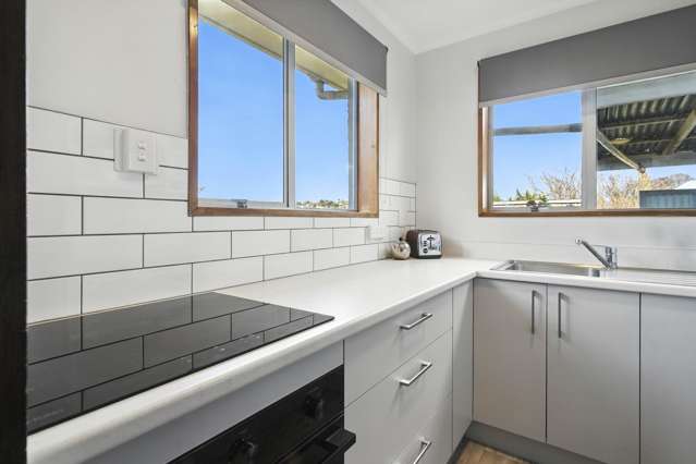 10 Pennant Street Wakari_3