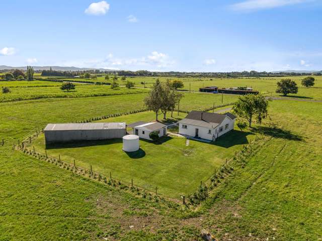 167 Bowler Road Te Aroha_3