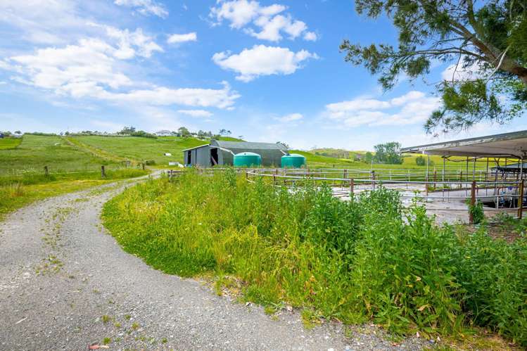 515 Kahikatea Flat Road Waitoki_20