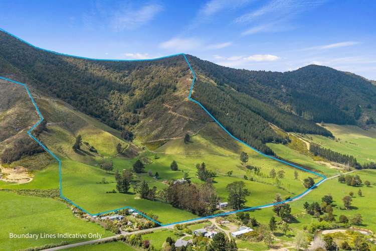 650 Ronga Road_0