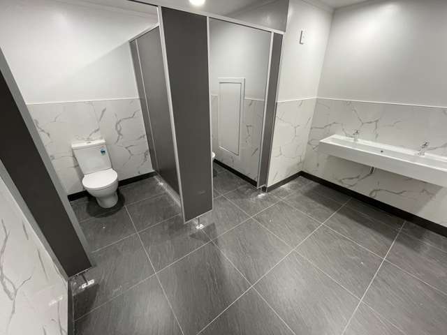 15 Walter Street Te Aro_3