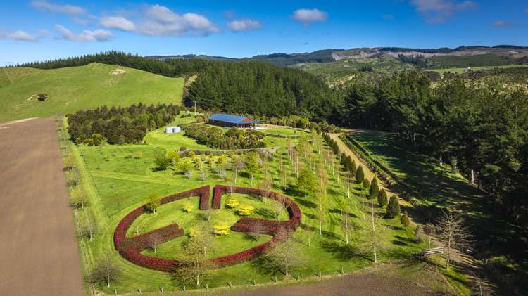 135 Willowford Road Waiwhare_26