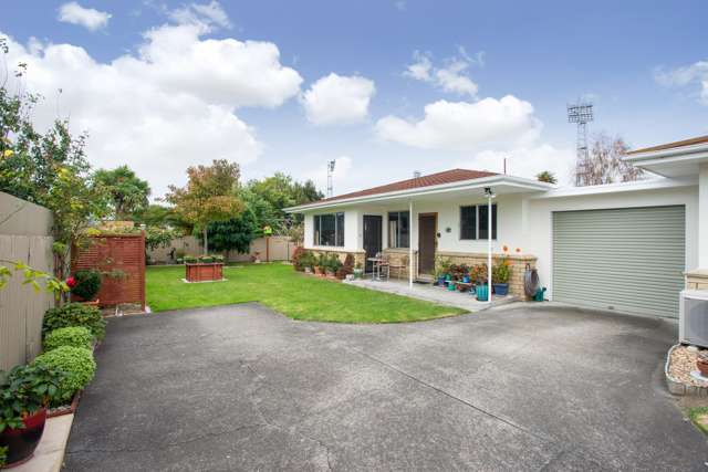 3/20 Latham Street Napier South_3