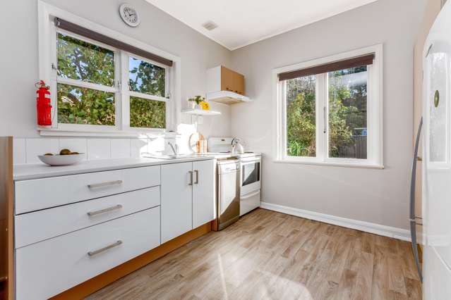18 Wilberforce Street Miramar_3