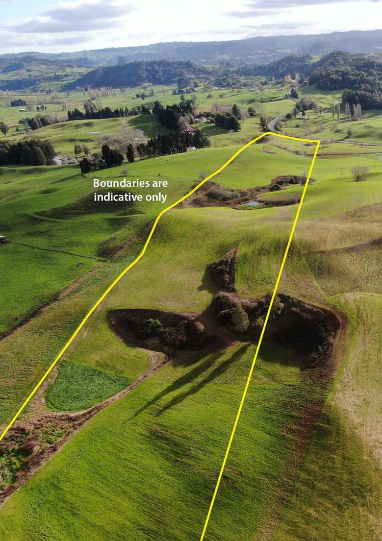 Waitomo Caves Road Waitomo_20