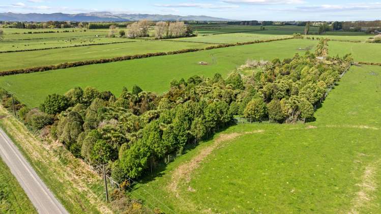 150 Swamp Road Springston_25