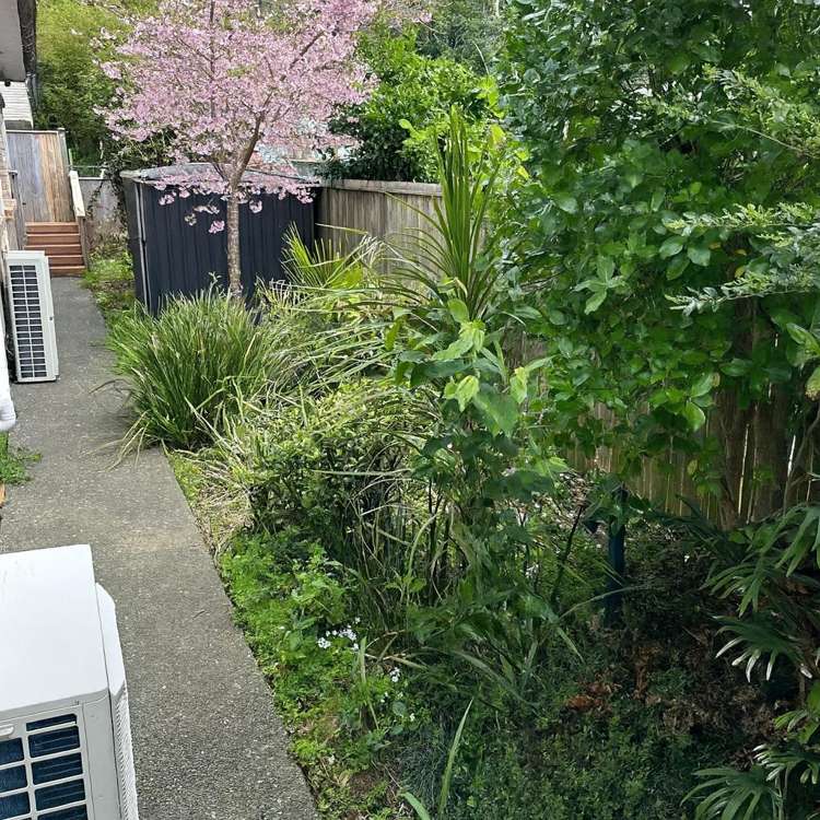 15 Edenvale Crescent Mount Eden_13