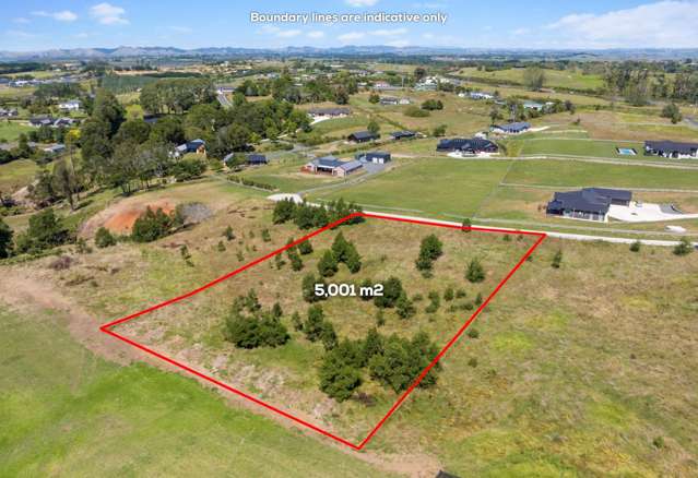 5 Vinifera Lane Pvt Te Kauwhata_4