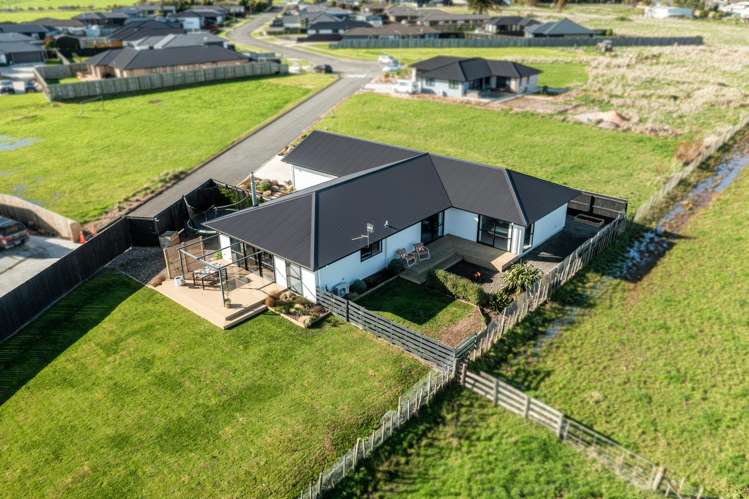 39 George Street Bulls_38