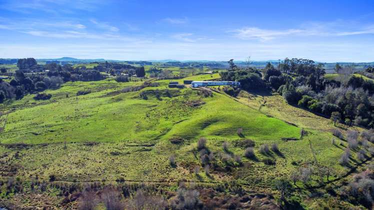 895 Glen Murray Road Rangiriri_7