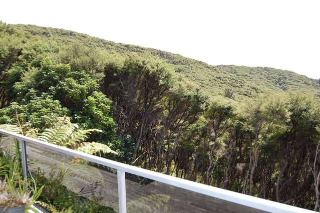 621 Medland Road Auckland - City_1