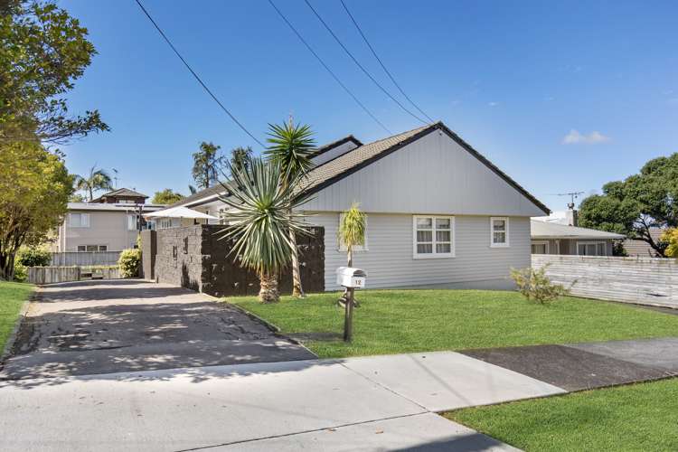 12 Apirana Avenue Glen Innes_0