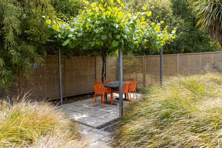 174 Odwyers Road Rapaura_5