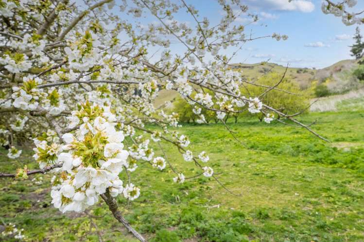 4.0541ha, 0 Ettrick-Raes Junction Road Millers Flat_7