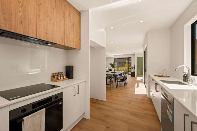 18 Sanft Avenue Mount Roskill_1