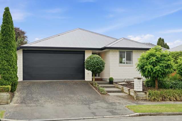 2B Gilbert Place Sydenham_1