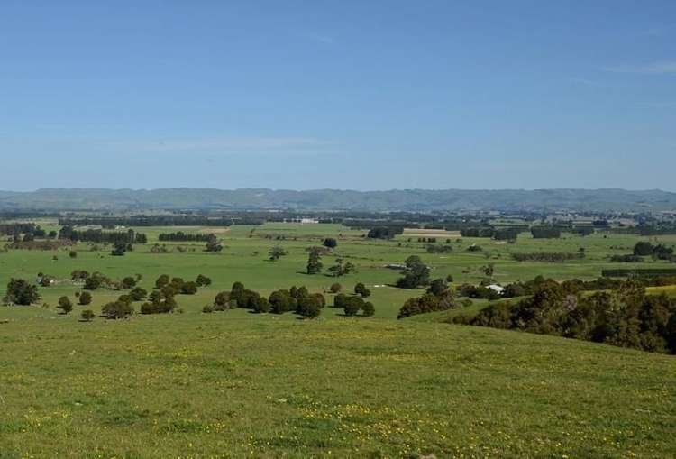 106 Chester Park Road Carterton_10