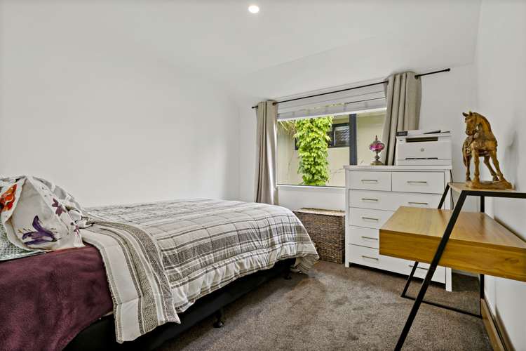 11d Langana Avenue Browns Bay_12