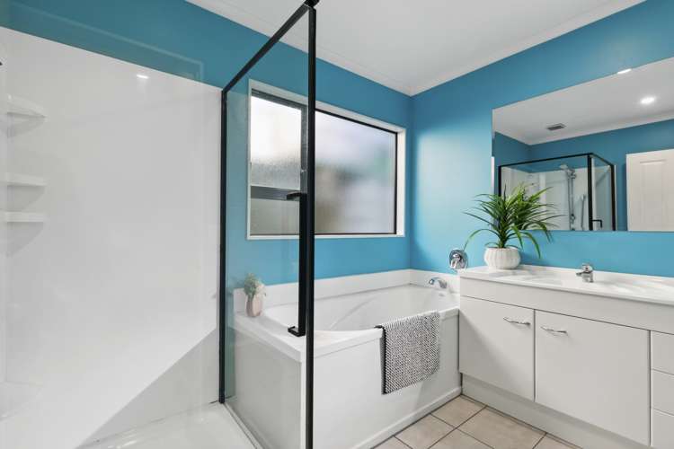 17a Manuka Street Miramar_6