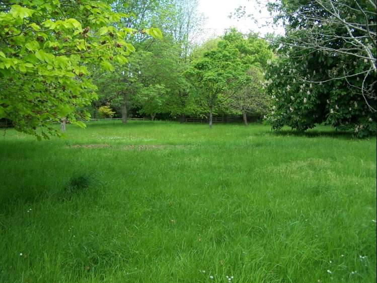 198 Bowalley Road Herbert_9