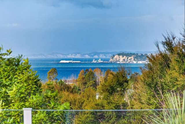 156 Kaimata Road Bay View_1
