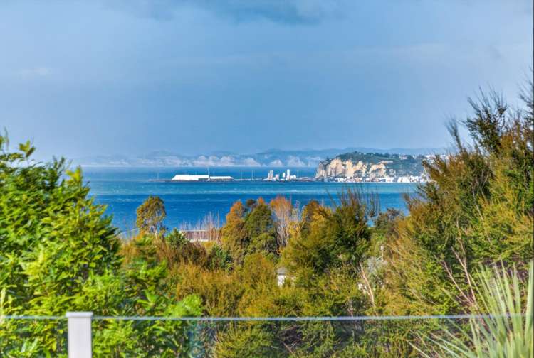 156 Kaimata Road Bay View_1
