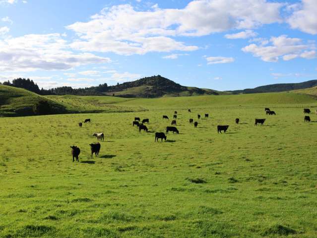 98 Millstream Road Dannevirke_4