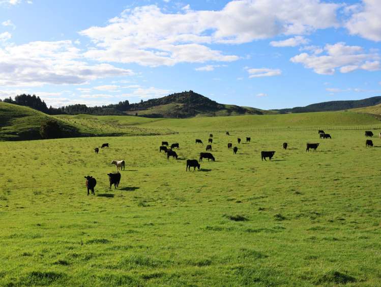 98 Millstream Road Dannevirke_4