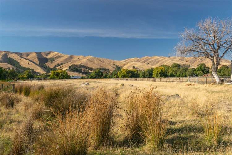 218 Alabama Road Riverlands_20