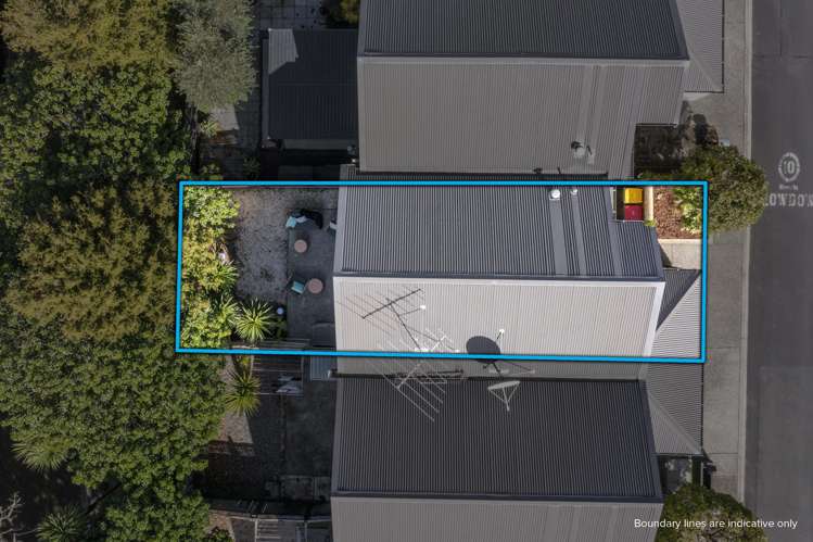 11/11 The Avenue Albany_20