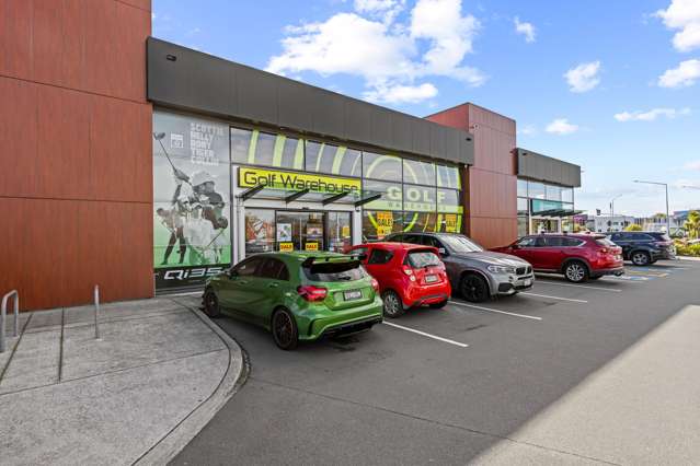 65 Blenheim Road Addington_3