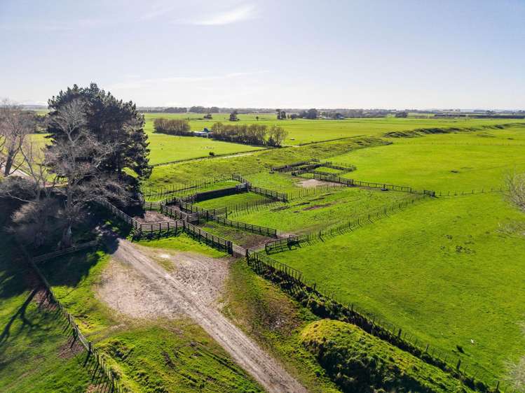 Marangai Road Whangaehu_14