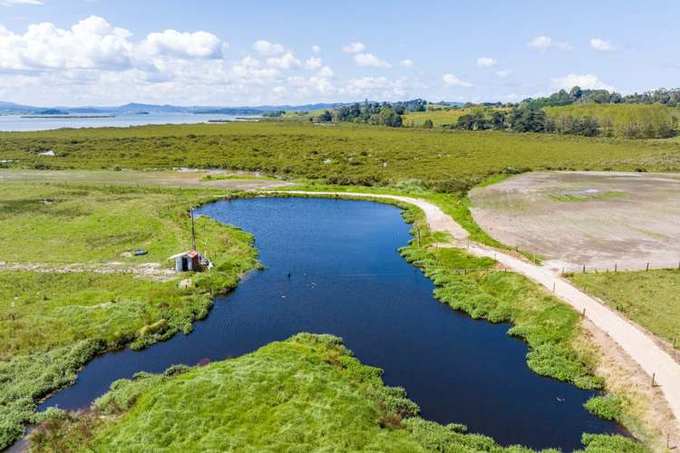 174 Gilbert Road Whangarei_20