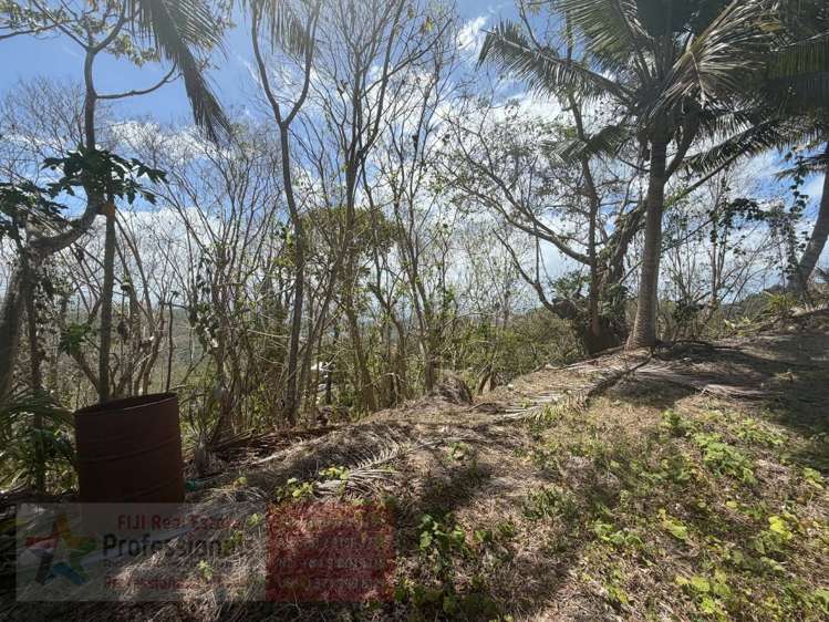 Address withheld Savusavu_4