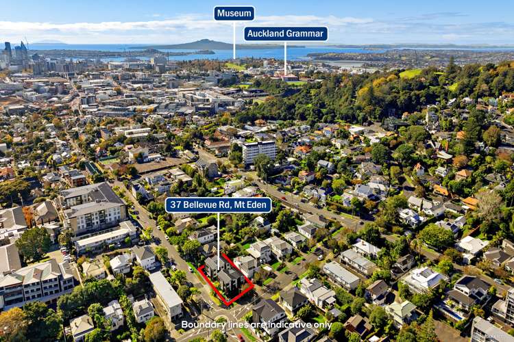 37A Bellevue Road Mt Eden_17