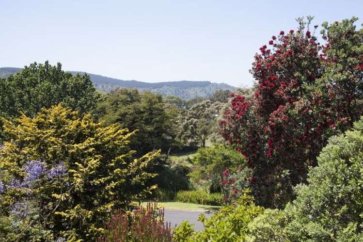 229 Tukere Drive Whangamata_5