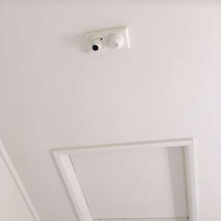 33 Station Street Tirau_46