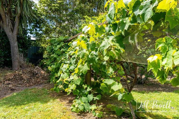 93C Jumna Road Maungaturoto_41