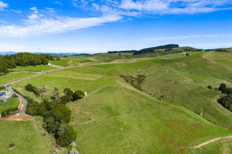 62 Cornes Road Raglan_24