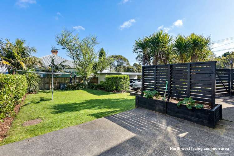137 Crummer Road Grey Lynn_18