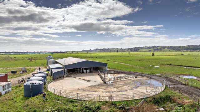 Queens Farm, 16 McGinley Road Opotiki_2