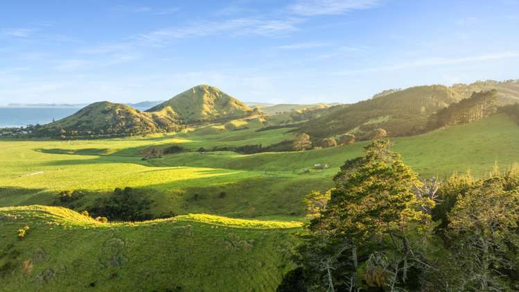 550 Black Jack Road Opito Bay_5