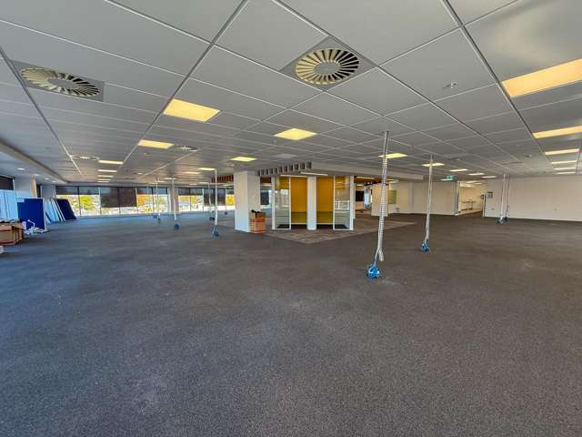 306 Cameron Road Tauranga Central_2