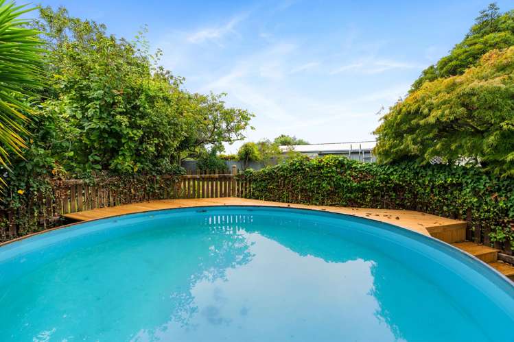 1010 Totara Street Mahora_19