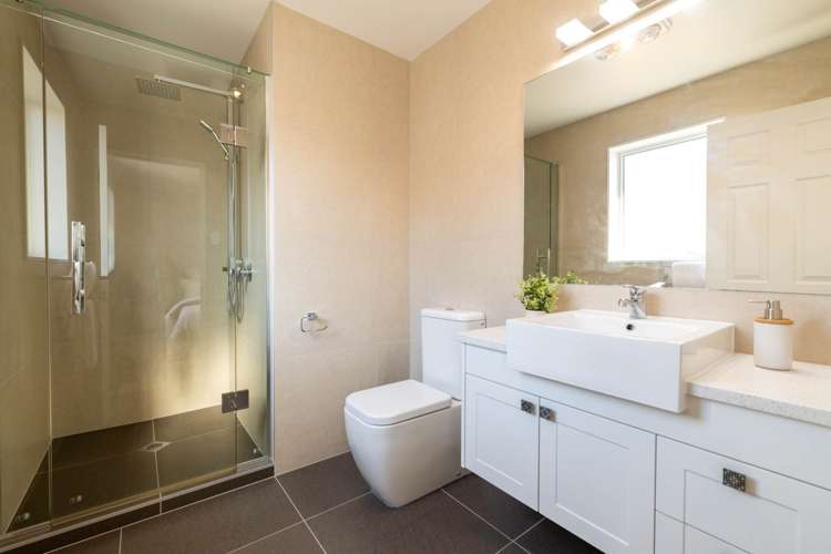 11 Calcite Avenue Flat Bush_19