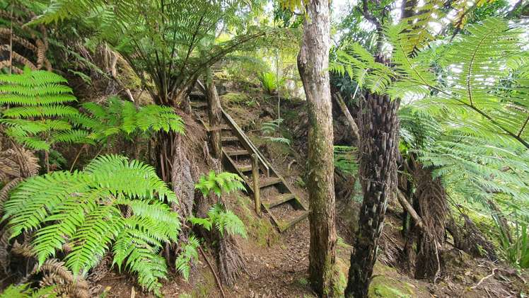 Lot 4 DP66008 North Cove Kawau Island_25