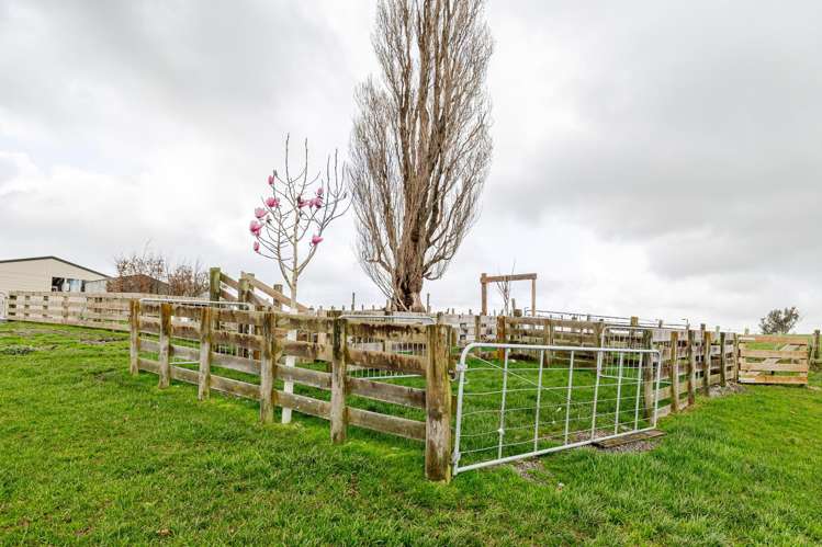 158 Finnis Road Colyton_18