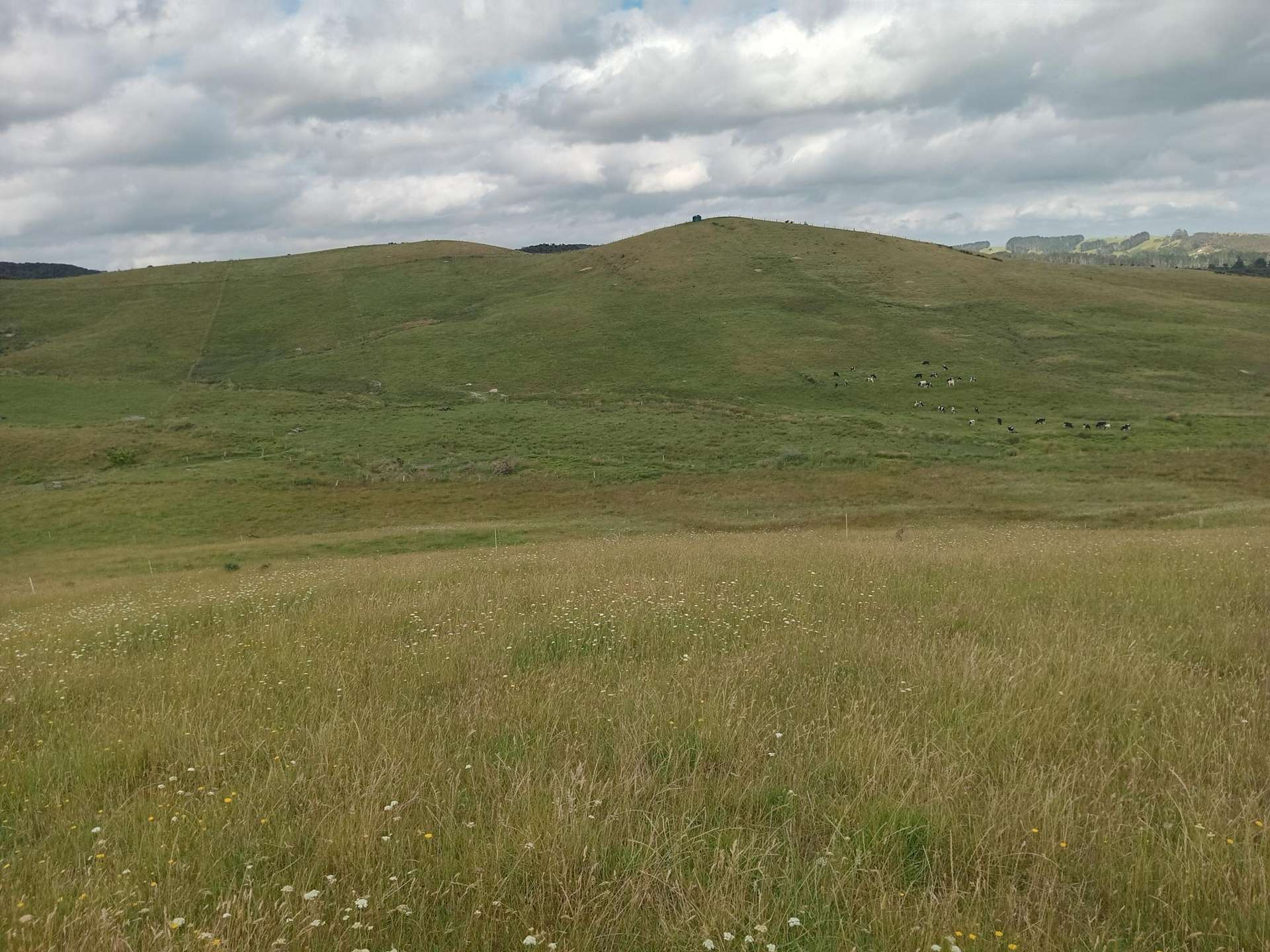 Lot 2 & 3/36 Te Moho Road Taipa_0