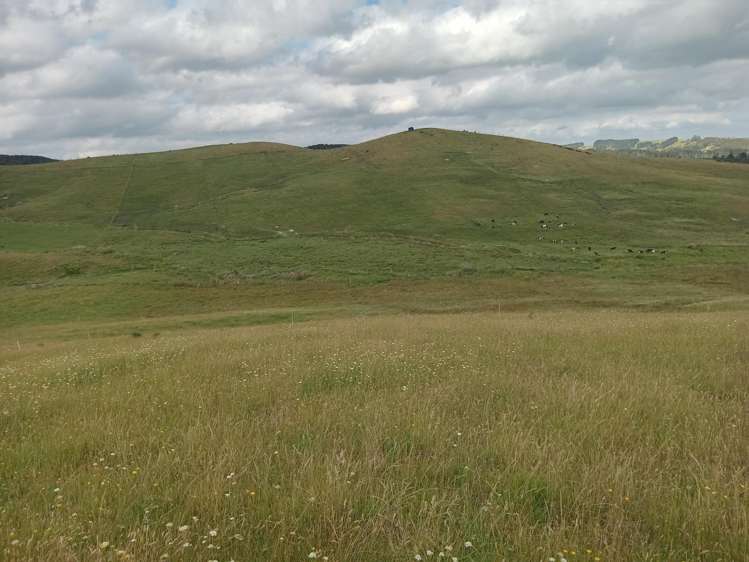 Lot 2 & 3/36 Te Moho Road_0