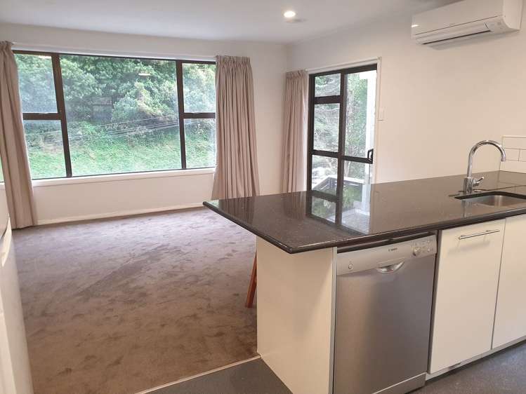 429 Ohiro Road Brooklyn_3